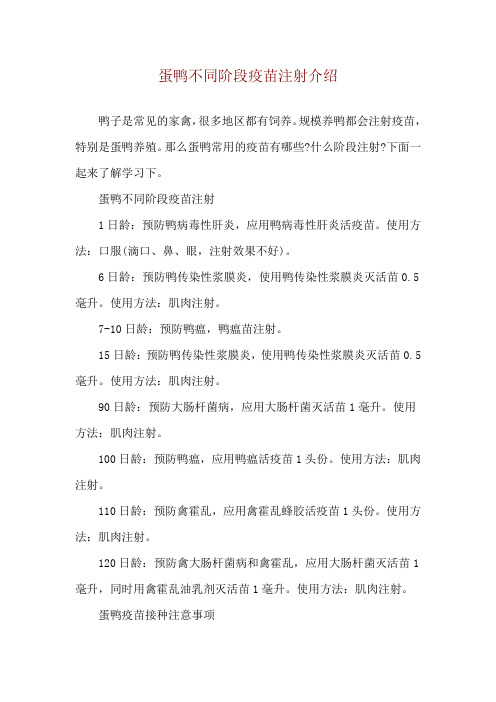 蛋鸭不同阶段疫苗注射介绍