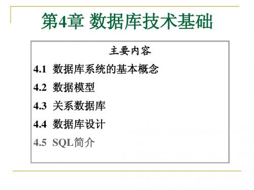 计算机应用基础4数据库技术基础