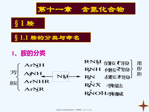 大学有机化学---胺与酰胺