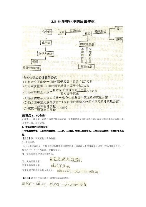 2.3化学变化中的质量守恒