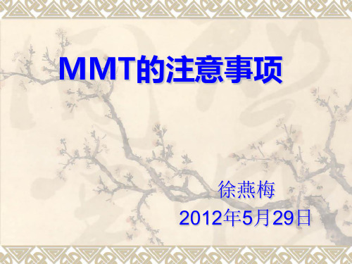 MMT(注意事项)