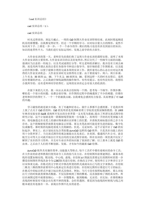 cad实训总结10篇