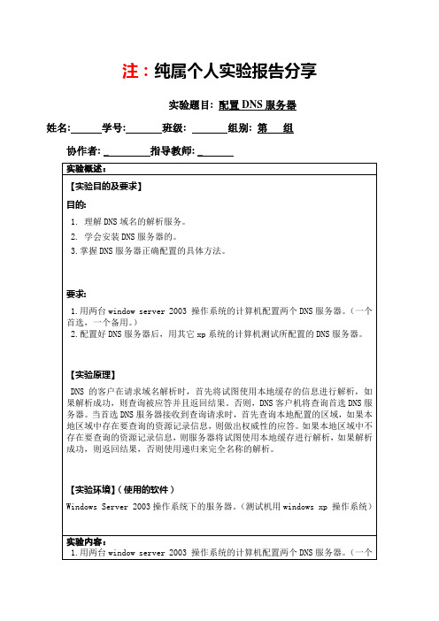 DNS的实验报告