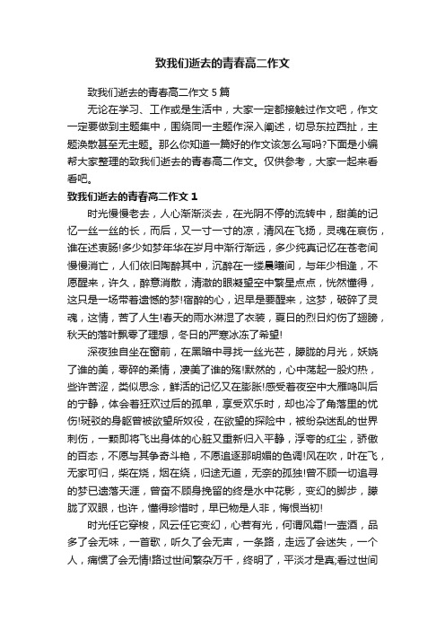 致我们逝去的青春高二作文5篇