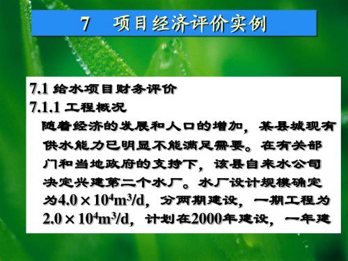 7项目经济评价实例