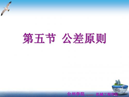 第三章3_ 形状和位置公差及检测_公差原则