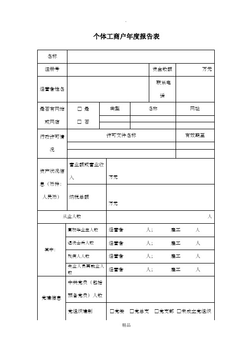 个体工商户年度报告表(纸质版)