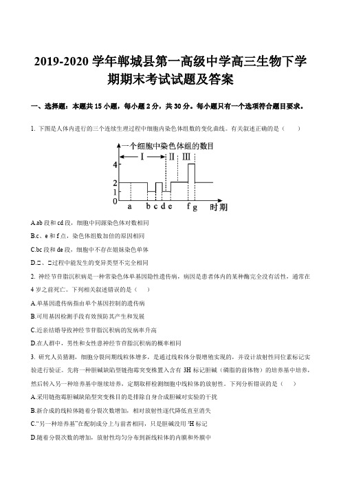 2019-2020学年郸城县第一高级中学高三生物下学期期末考试试题及答案