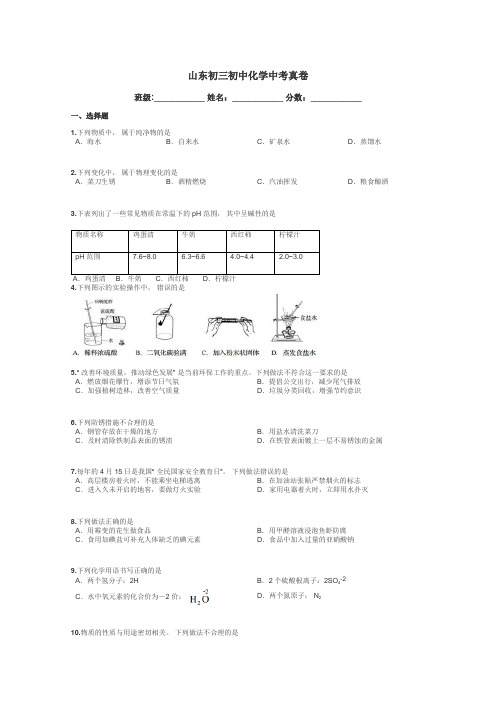 山东初三初中化学中考真卷带答案解析
