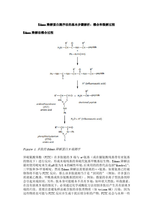 Edman降解蛋白测序法的基本步骤解析：耦合和裂解过程