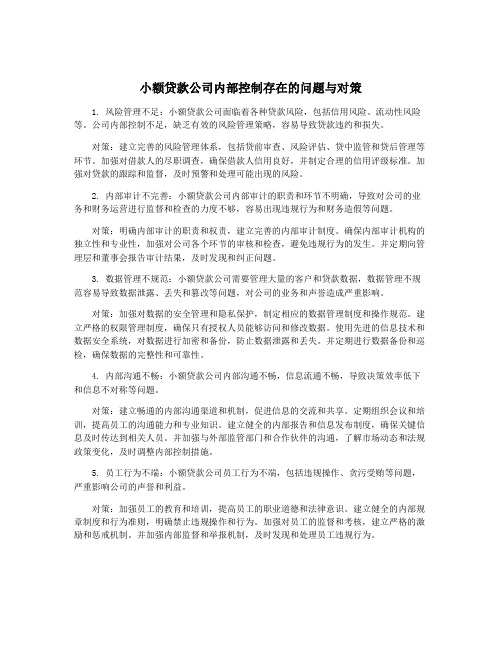 小额贷款公司内部控制存在的问题与对策