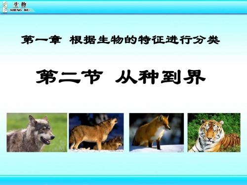 《从种到界》根据生物的特征进行分类PPT课件