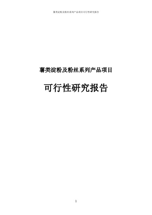 薯类淀粉及粉丝系列产品可行性研究报告