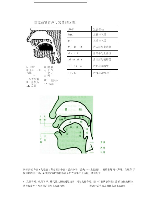 鼻音边音训练要领