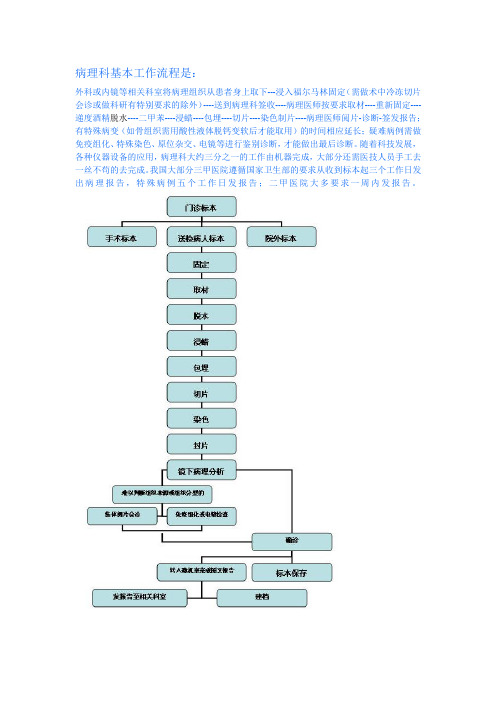 病理科基本工作流程是