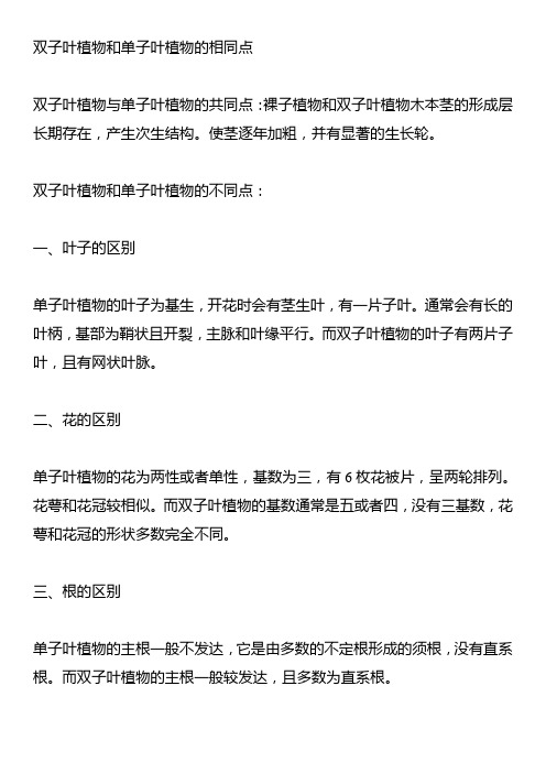 双子叶植物和单子叶植物的相同点