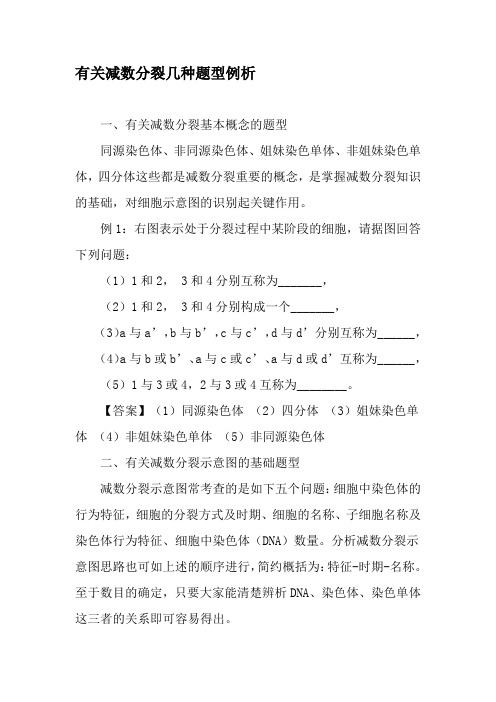 有关减数分裂几种题型例析-精选资料