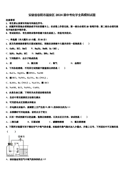 安徽省阜阳市颍泉区2024届中考化学全真模拟试题含解析