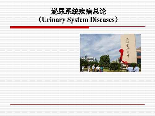 内科学课件：泌尿系统疾病总论