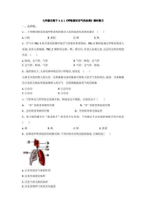 人教版七年级生物下4.3.1《呼吸道对空气的处理》课时练习题(有答案)