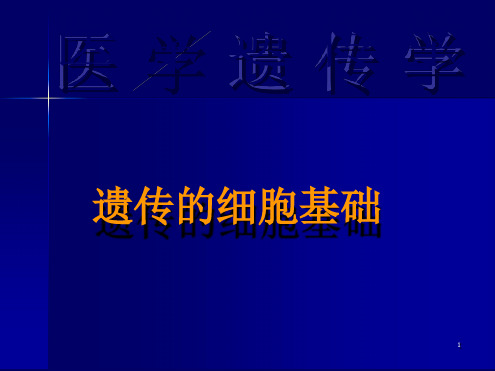 遗传的细胞基础PPT课件