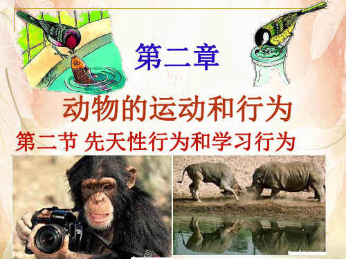 先天性行为和学习行为ppt30 人教版