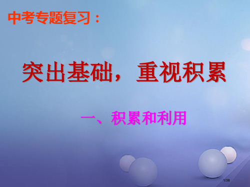 中考语文拼音复习市赛课公开课一等奖省名师优质课获奖PPT课件