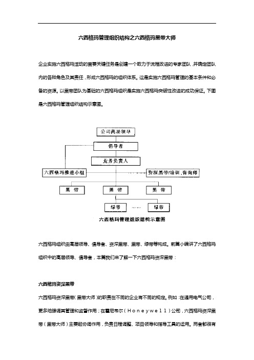 六西格玛管理组织结构之六西格玛黑带大师.