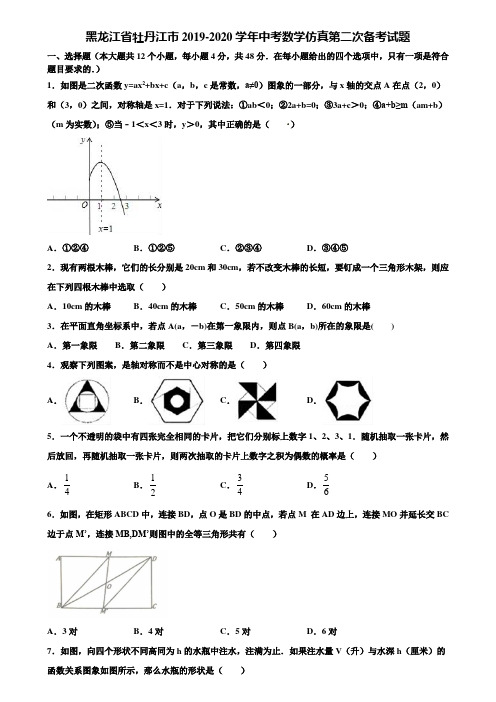 黑龙江省牡丹江市2019-2020学年中考数学仿真第二次备考试题含解析