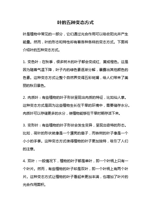 叶的五种变态方式