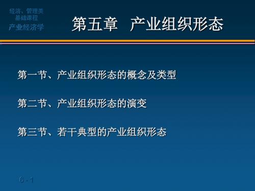 中南林业科技大学《产业经济学》第五章：产业组织形态.