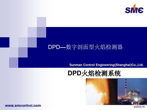 DPD火检系统-培训