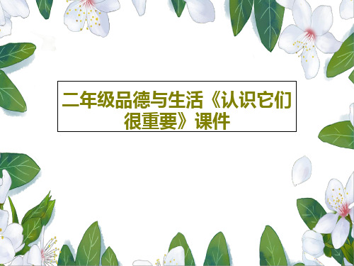 二年级品德与生活《认识它们很重要》课件共27页文档