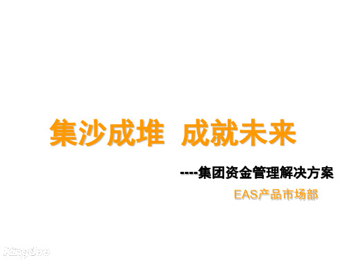 EAS资金管理解决方案(售前)