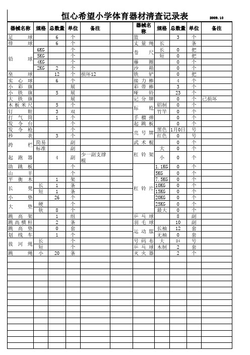 恒心体育器材清查记录