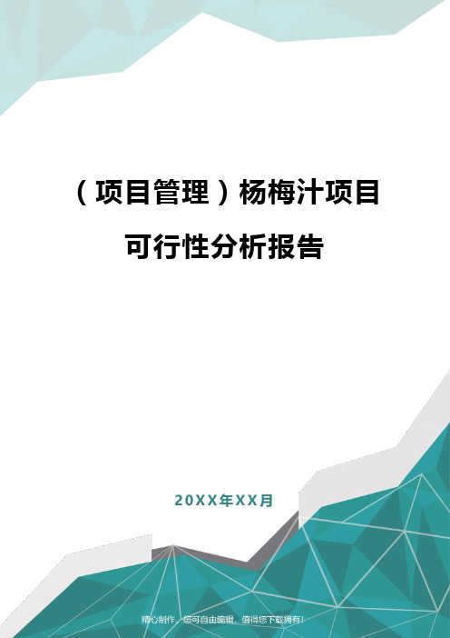 [项目管理]杨梅汁项目可行性分析报告