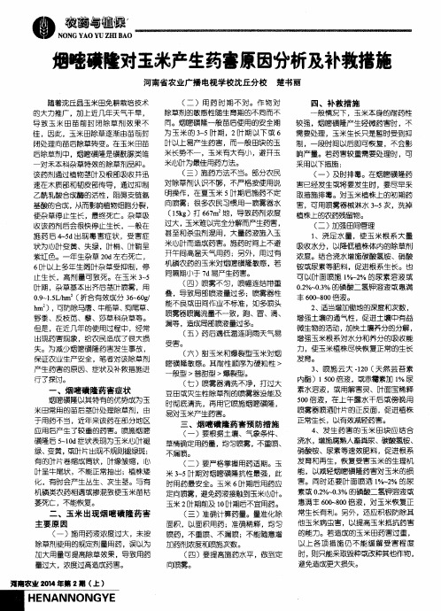 烟嘧磺隆对玉米产生药害原因分析及补救措施