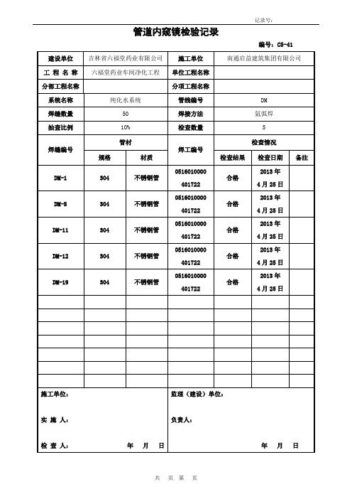 C5-41管道内窥镜检验记录