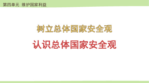 《认识总体国家安全观》PPT优秀课件下载