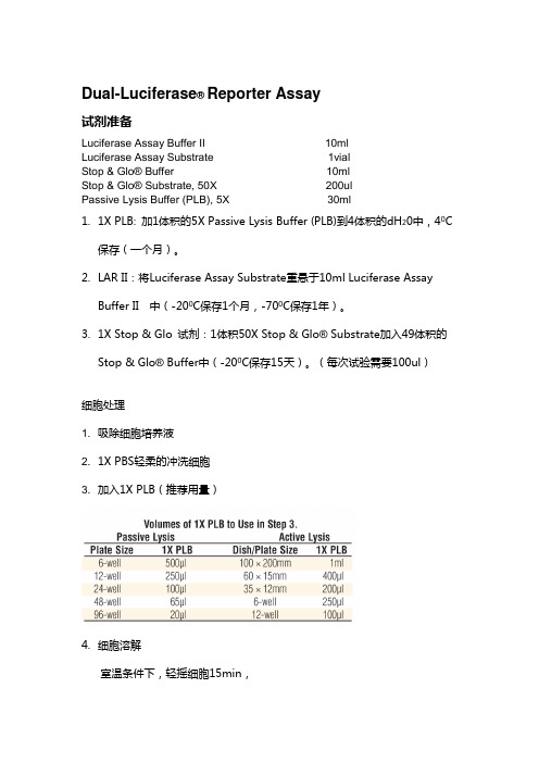 双荧光素酶报告基因检测系统-promega