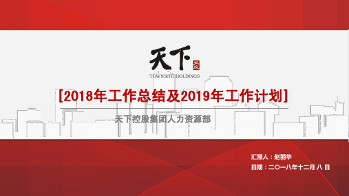 2018年总结及2019年工作计划(心血制作)