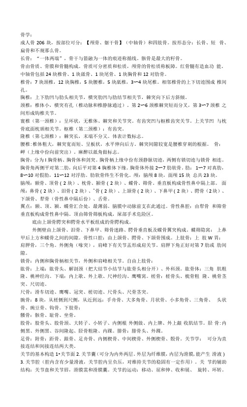 解剖学复习重点