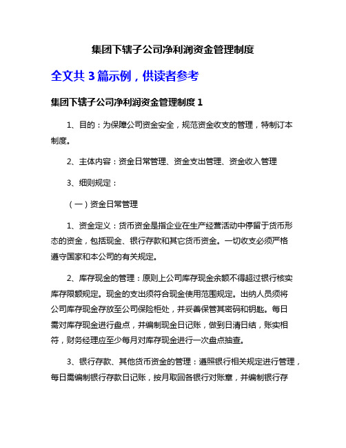 集团下辖子公司净利润资金管理制度