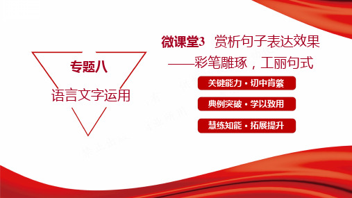 2022年高考语文总复习专题八语言文字运用 微课堂3 赏析句子表达效果——彩笔雕琢,工丽句式