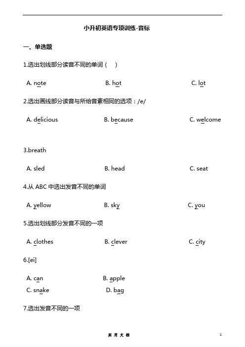 六年级下册英语试题-小升初英语专项训练 音标 通用版(含答案解析)