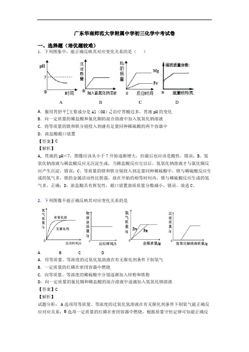 广东华南师范大学附属中学初三化学中考试卷