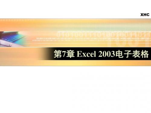 精选第7章Excel2003电子表资料