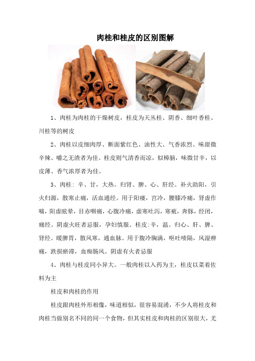 肉桂和桂皮的区别图解