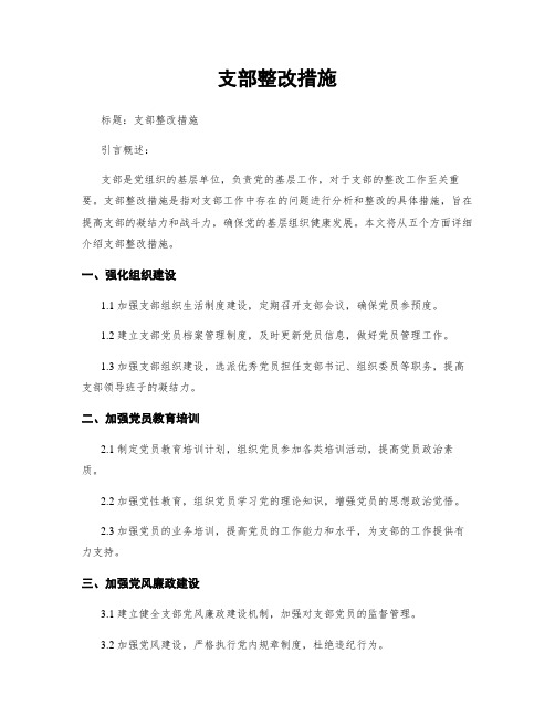 支部整改措施