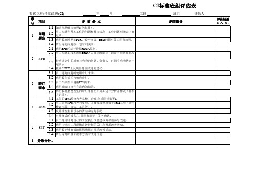 CI标准班组评估表